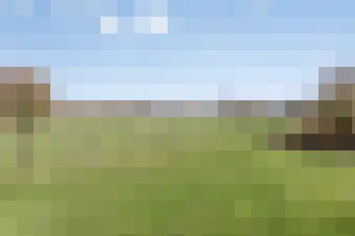 Laakweg 94 Nijkerkerveen thumbnail 67