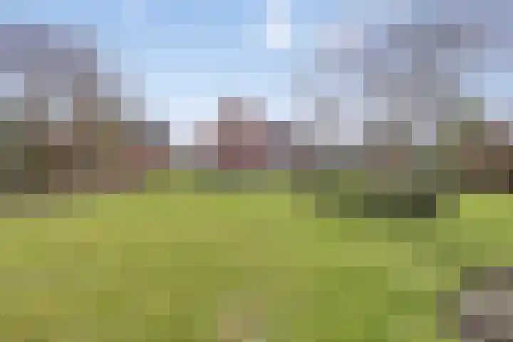 Laakweg 94 Nijkerkerveen thumbnail 68