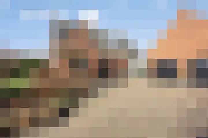 Laakweg 94 Nijkerkerveen thumbnail 73