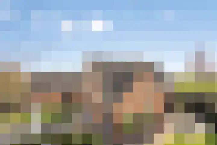 Laakweg 94 Nijkerkerveen thumbnail 75