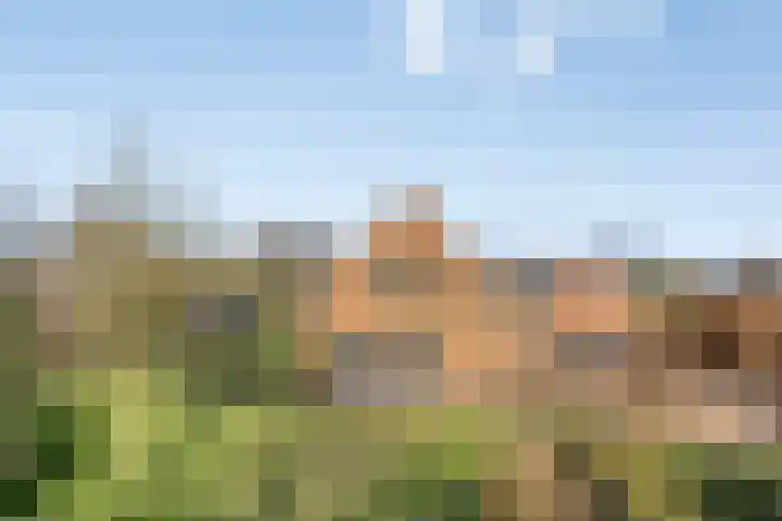 Laakweg 94 Nijkerkerveen thumbnail 77