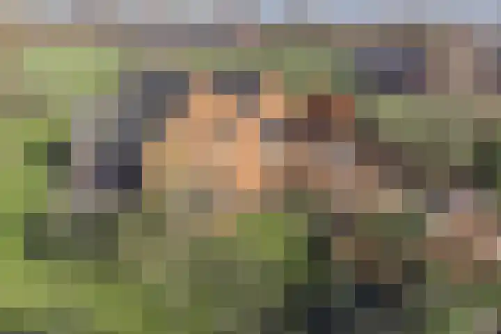 Laakweg 94 Nijkerkerveen thumbnail 84