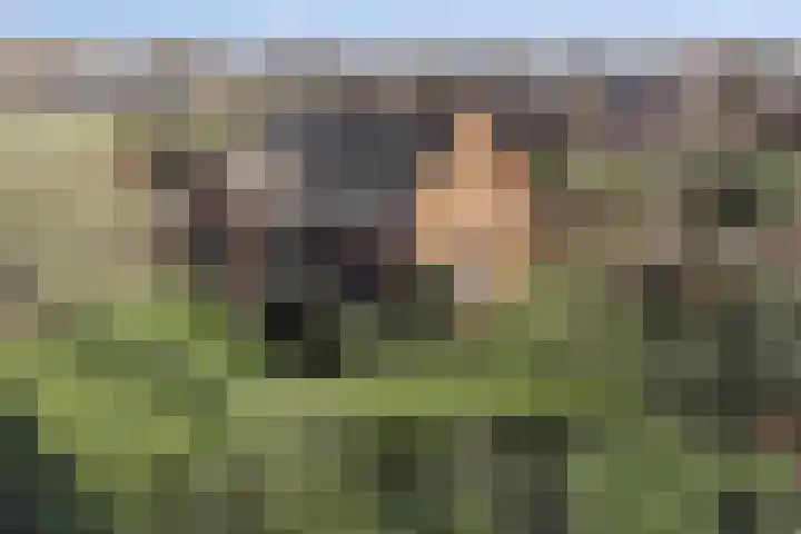 Laakweg 94 Nijkerkerveen thumbnail 85