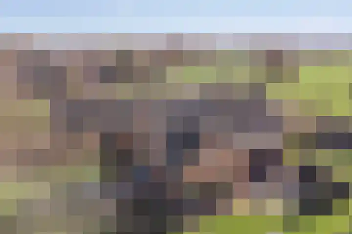 Laakweg 94 Nijkerkerveen thumbnail 86