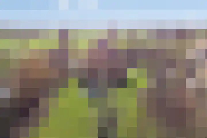 Laakweg 94 Nijkerkerveen thumbnail 87