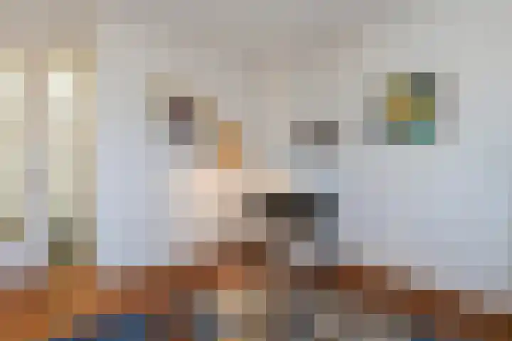 Laamhoef 8 Gemonde thumbnail 10
