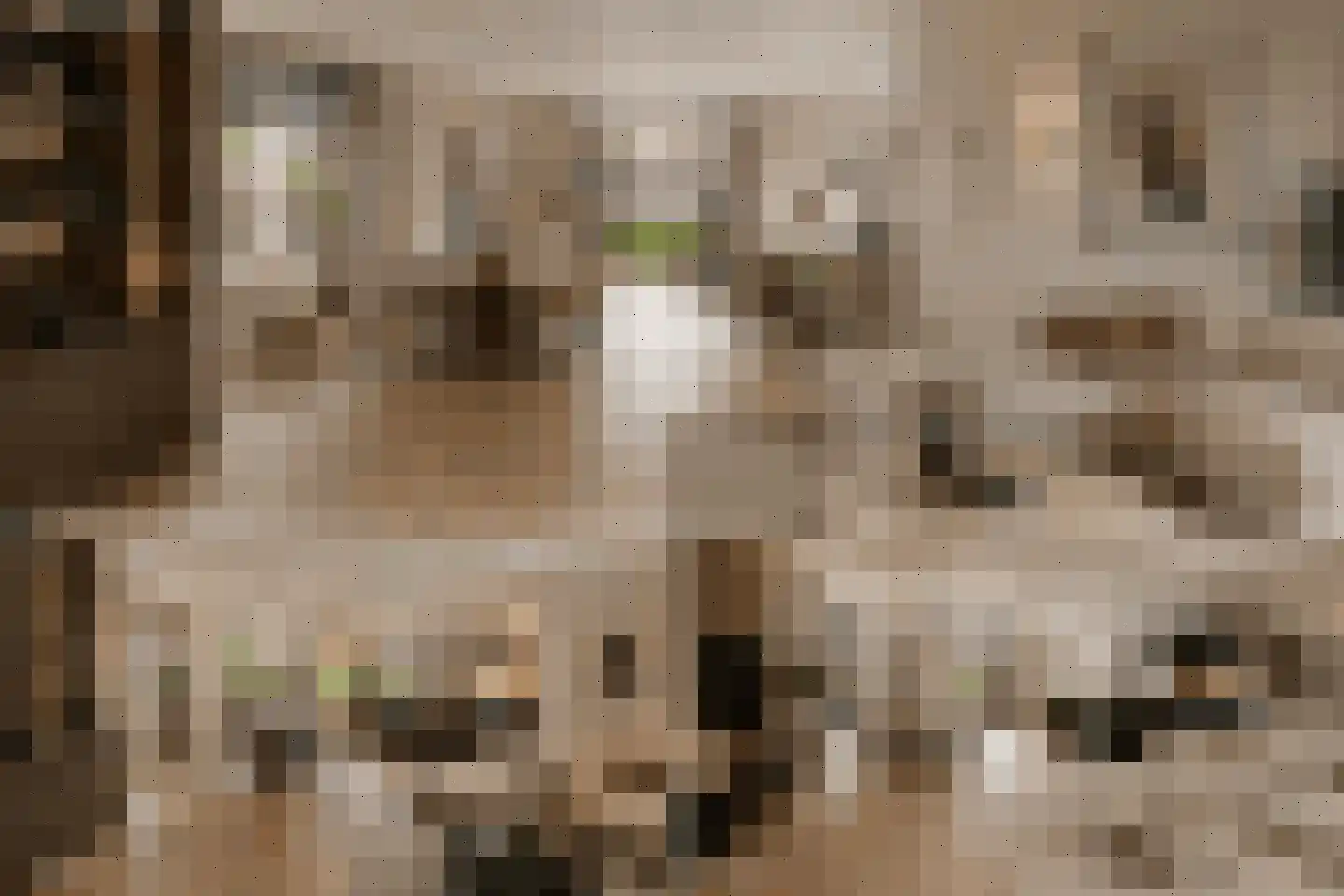 Laamhoef 8 Gemonde thumbnail 18
