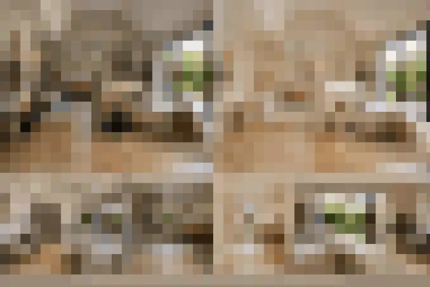 Laamhoef 8 Gemonde thumbnail 30