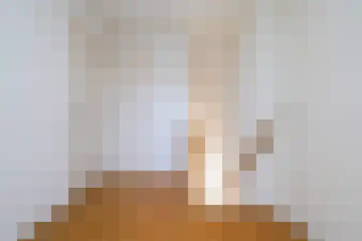 Laamhoef 8 Gemonde thumbnail 36