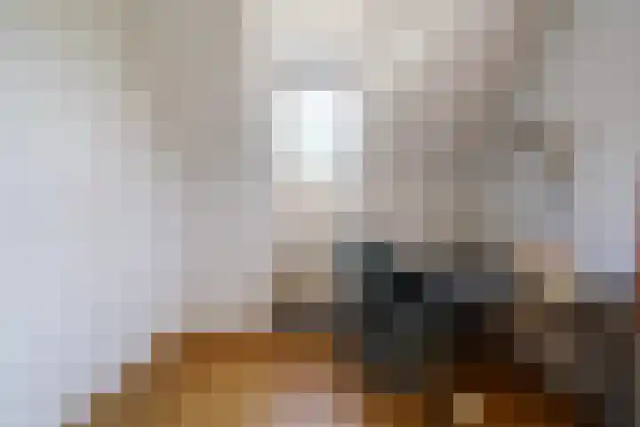 Laamhoef 8 Gemonde thumbnail 41