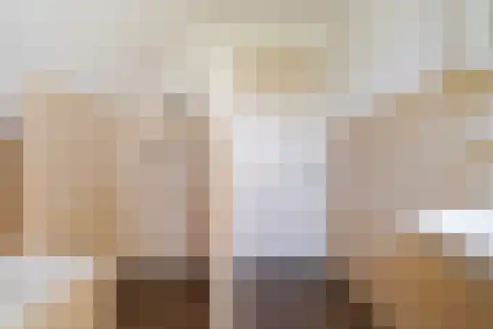 Laamhoef 8 Gemonde thumbnail 42