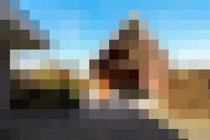 Laamhoef 8 Gemonde thumbnail 50
