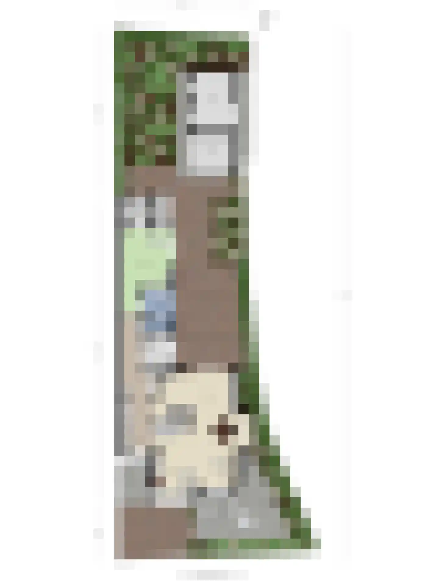 Laamhoef 8 Gemonde thumbnail 56