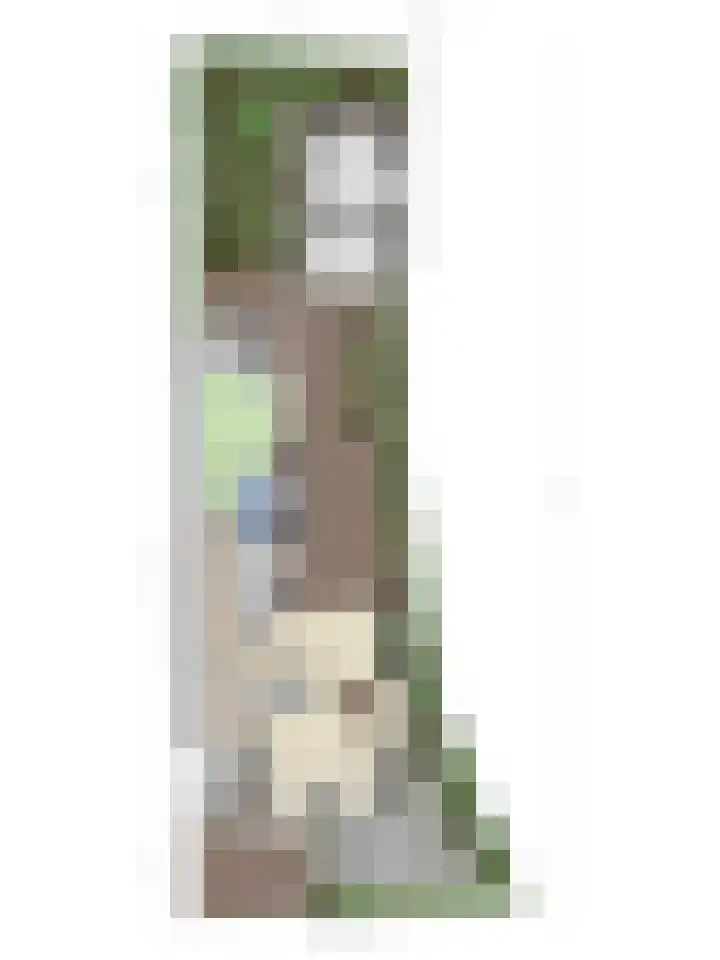 Laamhoef 8 Gemonde thumbnail 56