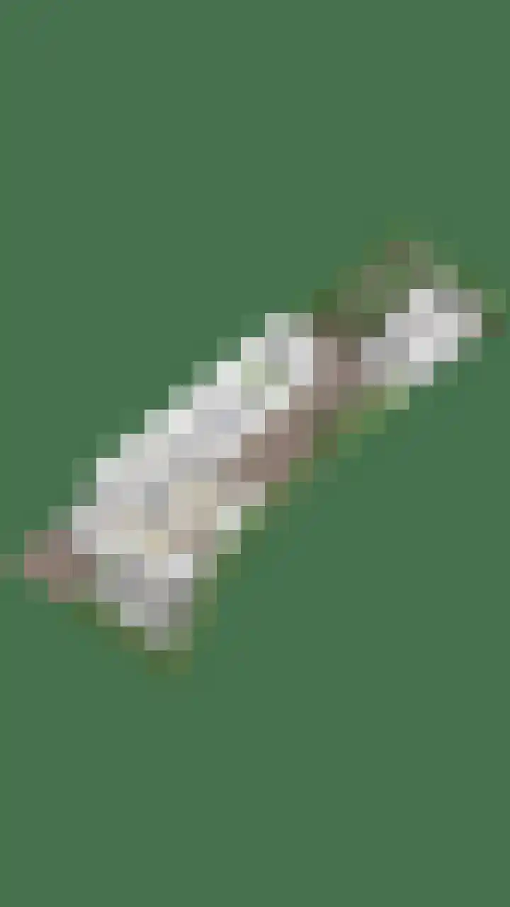 Laamhoef 8 Gemonde thumbnail 57