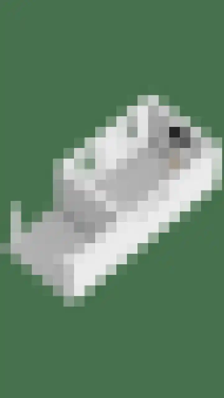 Laamhoef 8 Gemonde thumbnail 67