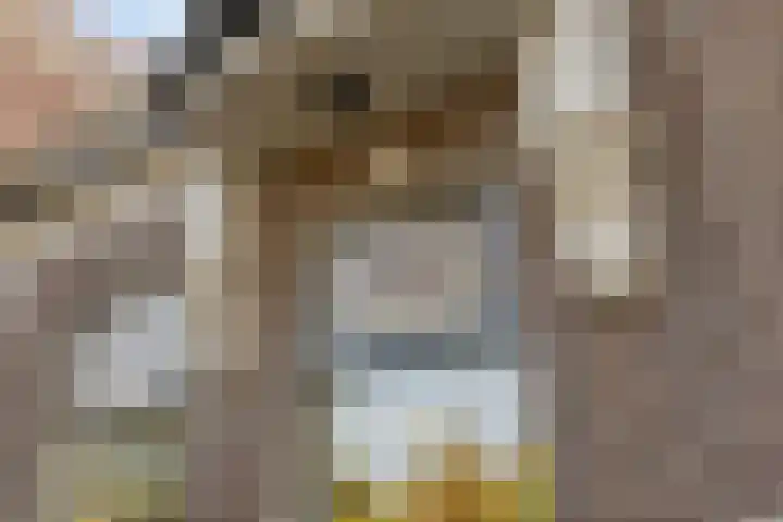 Laan 12 Schagen thumbnail 10