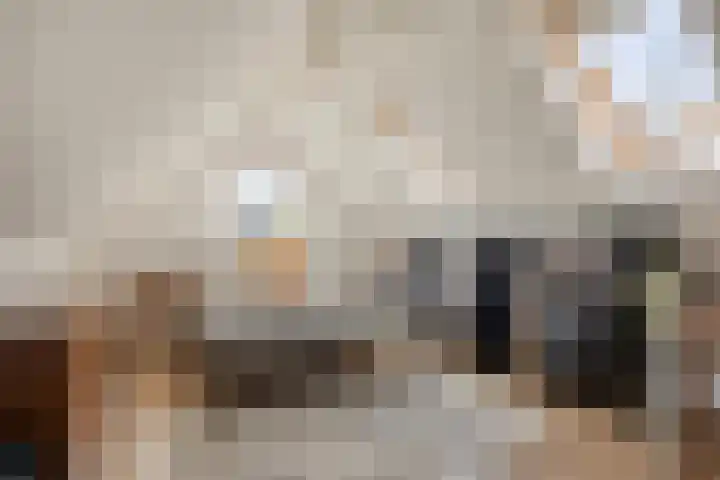 Laan 12 Schagen thumbnail 26