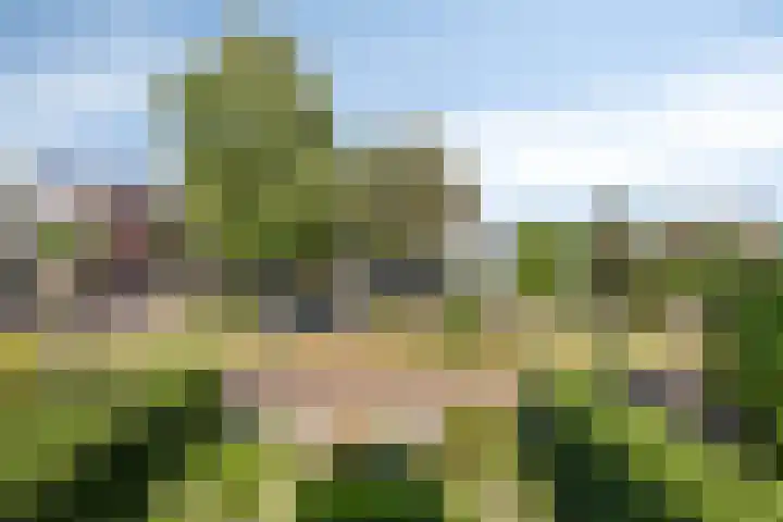 Laan 12 Schagen thumbnail 35