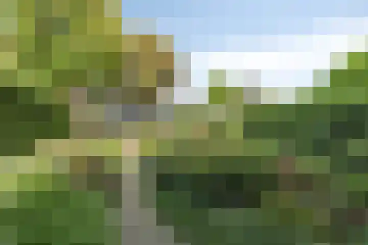 Laan 12 Schagen thumbnail 7