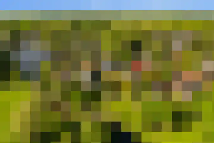 Laan 14 Broek in Waterland thumbnail 19