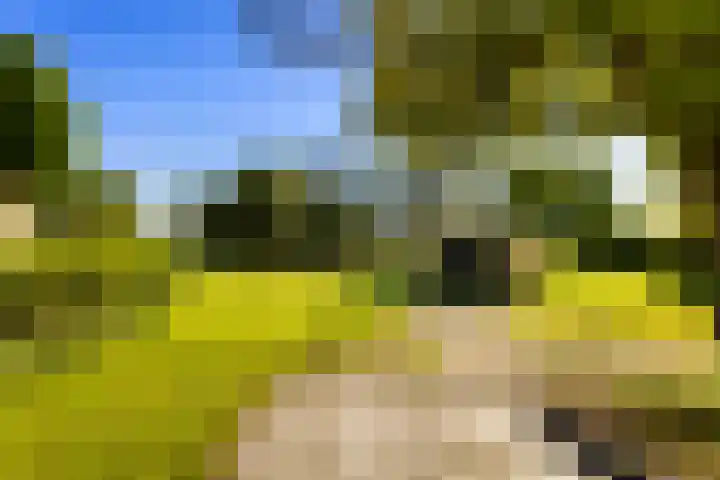 Laan 14 Broek in Waterland thumbnail 22
