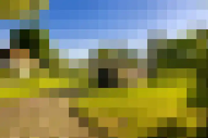Laan 14 Broek in Waterland thumbnail 23
