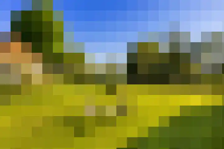 Laan 14 Broek in Waterland thumbnail 26