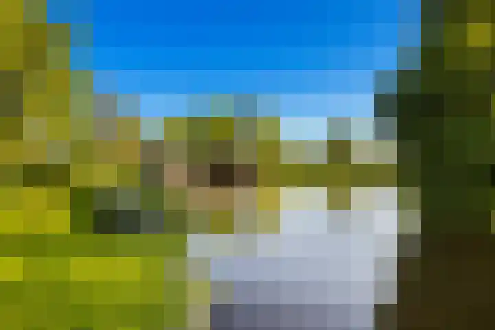 Laan 14 Broek in Waterland thumbnail 28