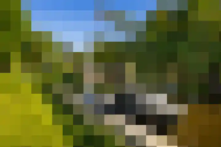 Laan 14 Broek in Waterland thumbnail 29