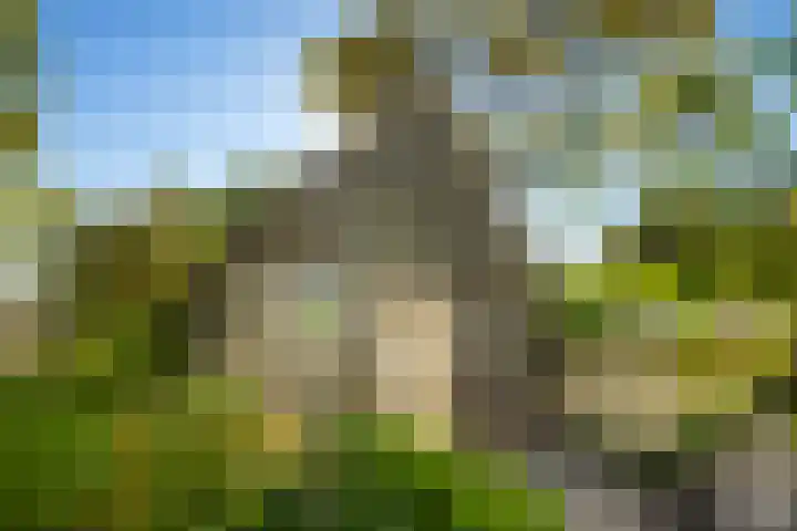 Laan 14 Broek in Waterland thumbnail 38