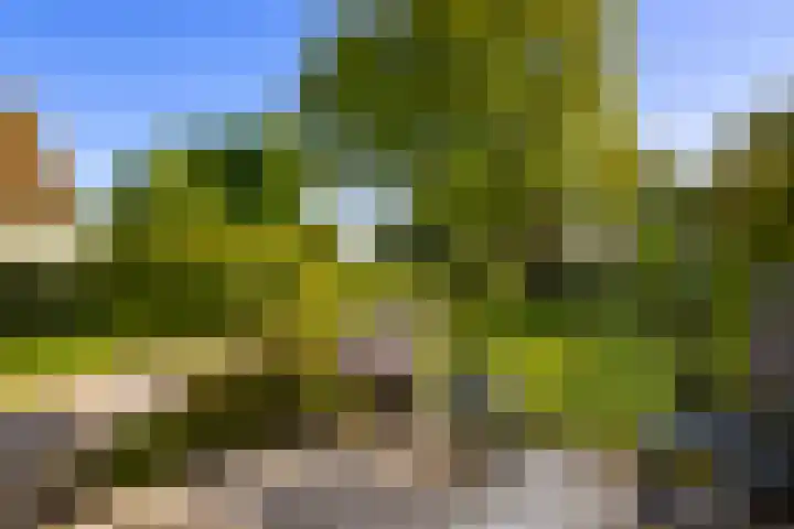 Laan 14 Broek in Waterland thumbnail 4