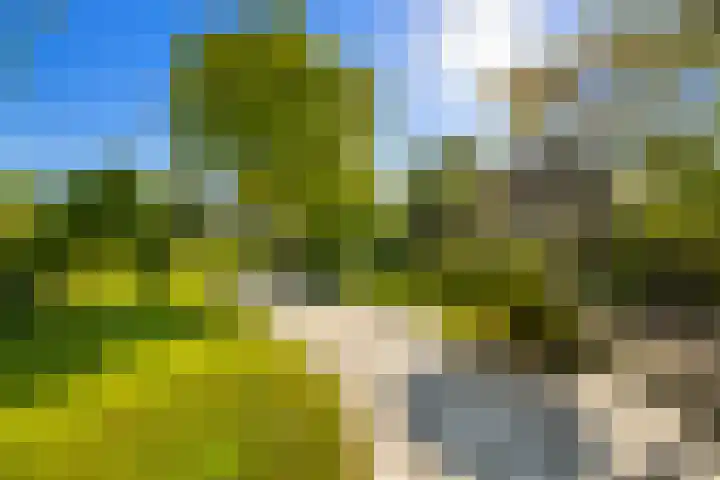 Laan 14 Broek in Waterland thumbnail 5