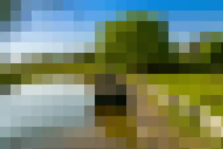 Laan 14 Broek in Waterland thumbnail 6