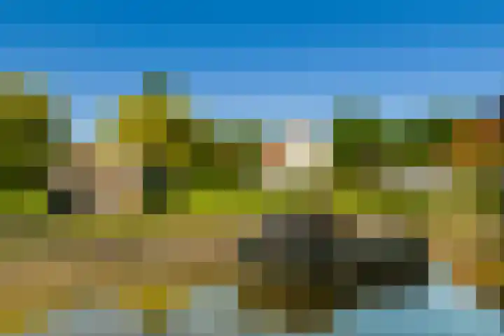 Laan 14 Broek in Waterland thumbnail 7