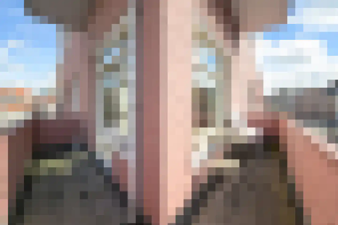 Laan 14 Den Haag thumbnail 16
