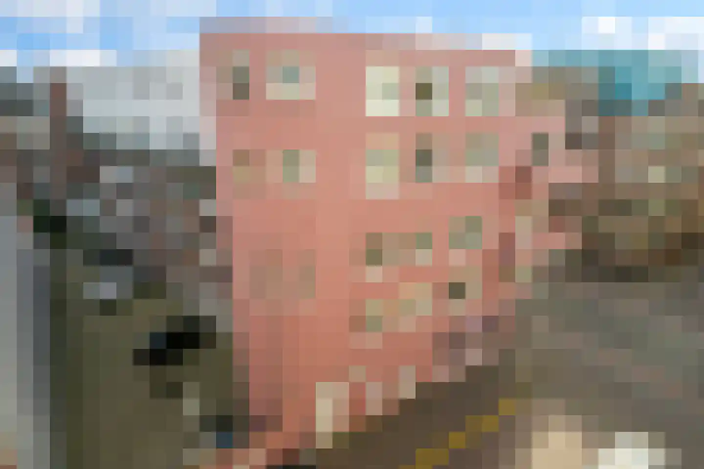 Laan 14 Den Haag thumbnail 36