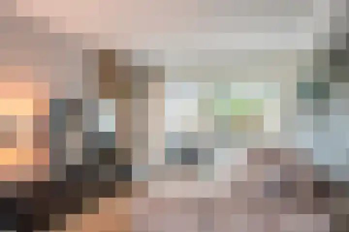 Laan 1509 1509 22 Scheemda thumbnail 14