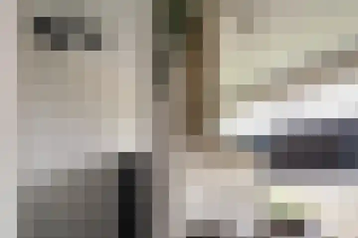 Laan 1509 1509 22 Scheemda thumbnail 36