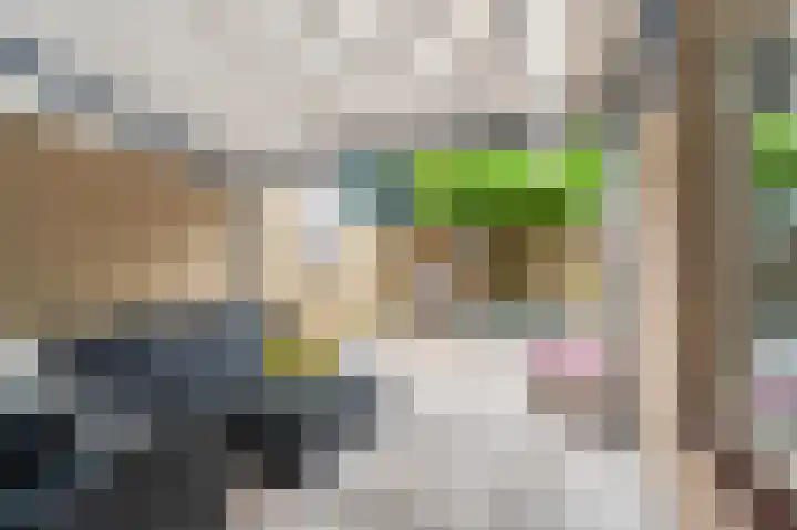 Laan 1509 1509 22 Scheemda thumbnail 43