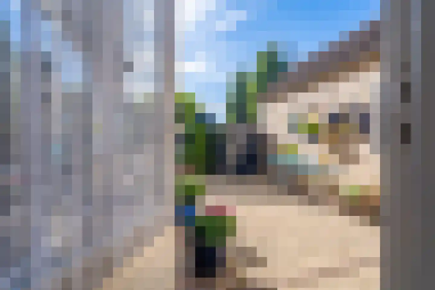 Laan 1509 20 Scheemda thumbnail 44