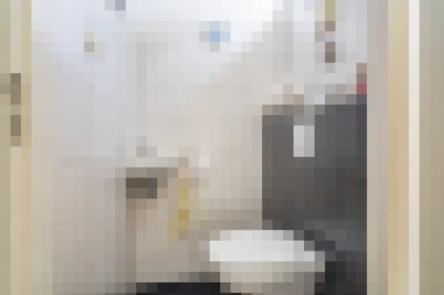Laan 1509 20 Scheemda thumbnail 7