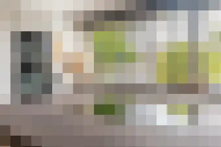 Laan 1509 22 Scheemda thumbnail 10