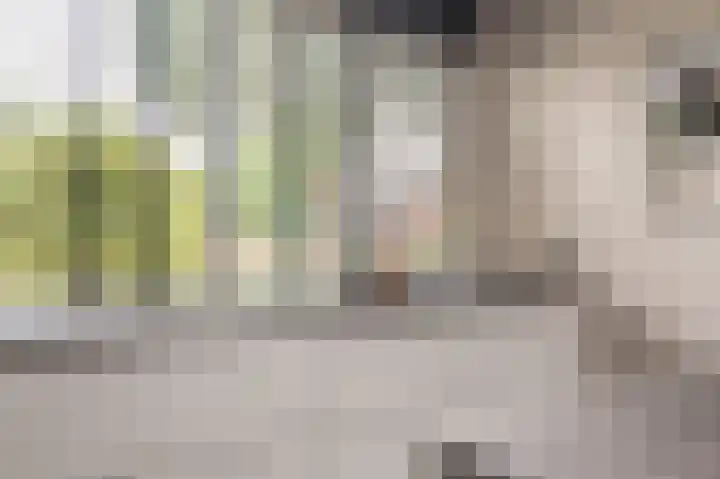 Laan 1509 22 Scheemda thumbnail 11