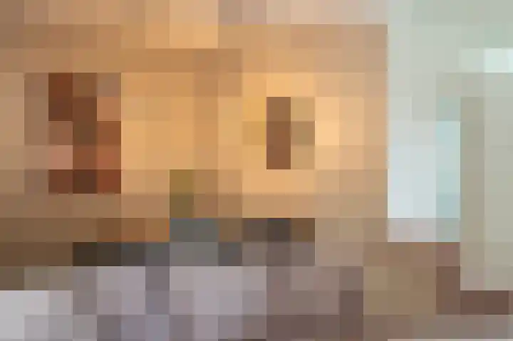 Laan 1509 22 Scheemda thumbnail 18