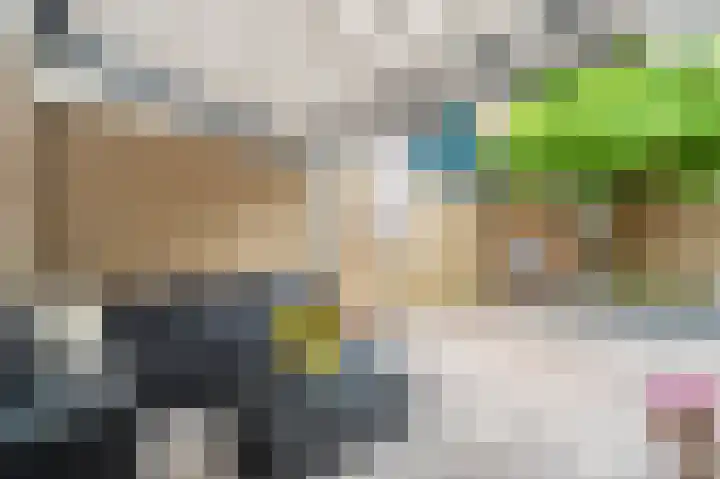 Laan 1509 22 Scheemda thumbnail 42