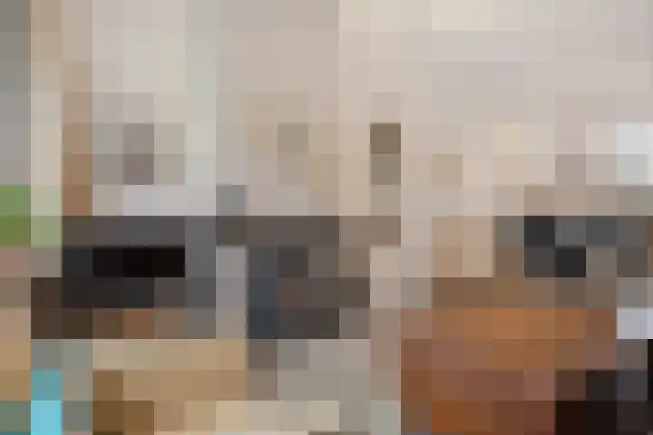 Laan 18 Schagen thumbnail 13