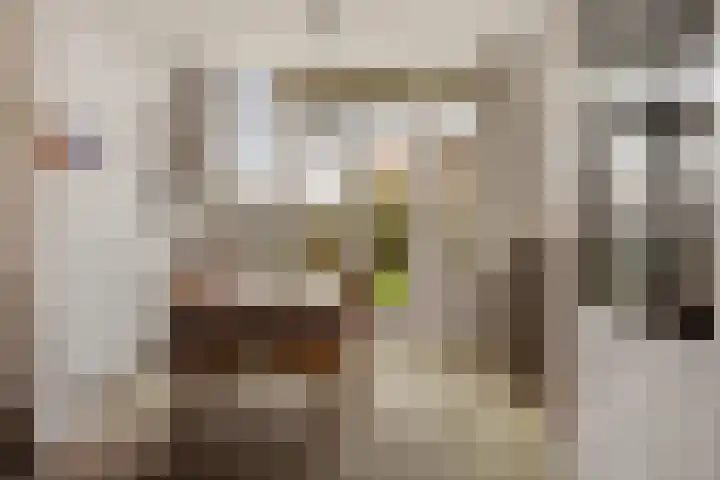 Laan 18 Schagen thumbnail 16