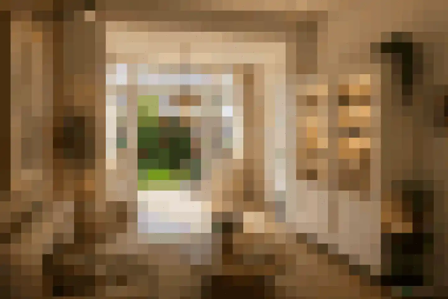 Laan 18 Schagen foto 2