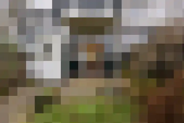 Laan 18 Schagen thumbnail 21